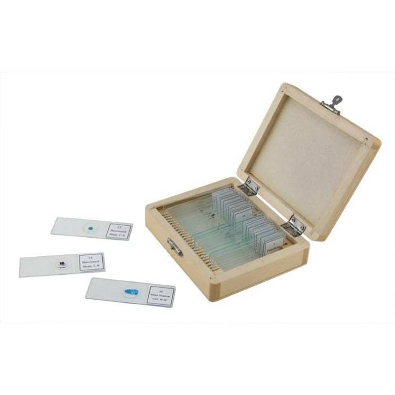 Lame 7105 standard préparée pour microscope en verre givrée - Chine Lame de  microscope, lame de couverture